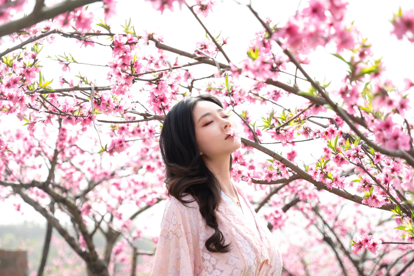 年年 - 漫花 [86P-595MB] tg@simisebaisi 【丝足阁】009.webp